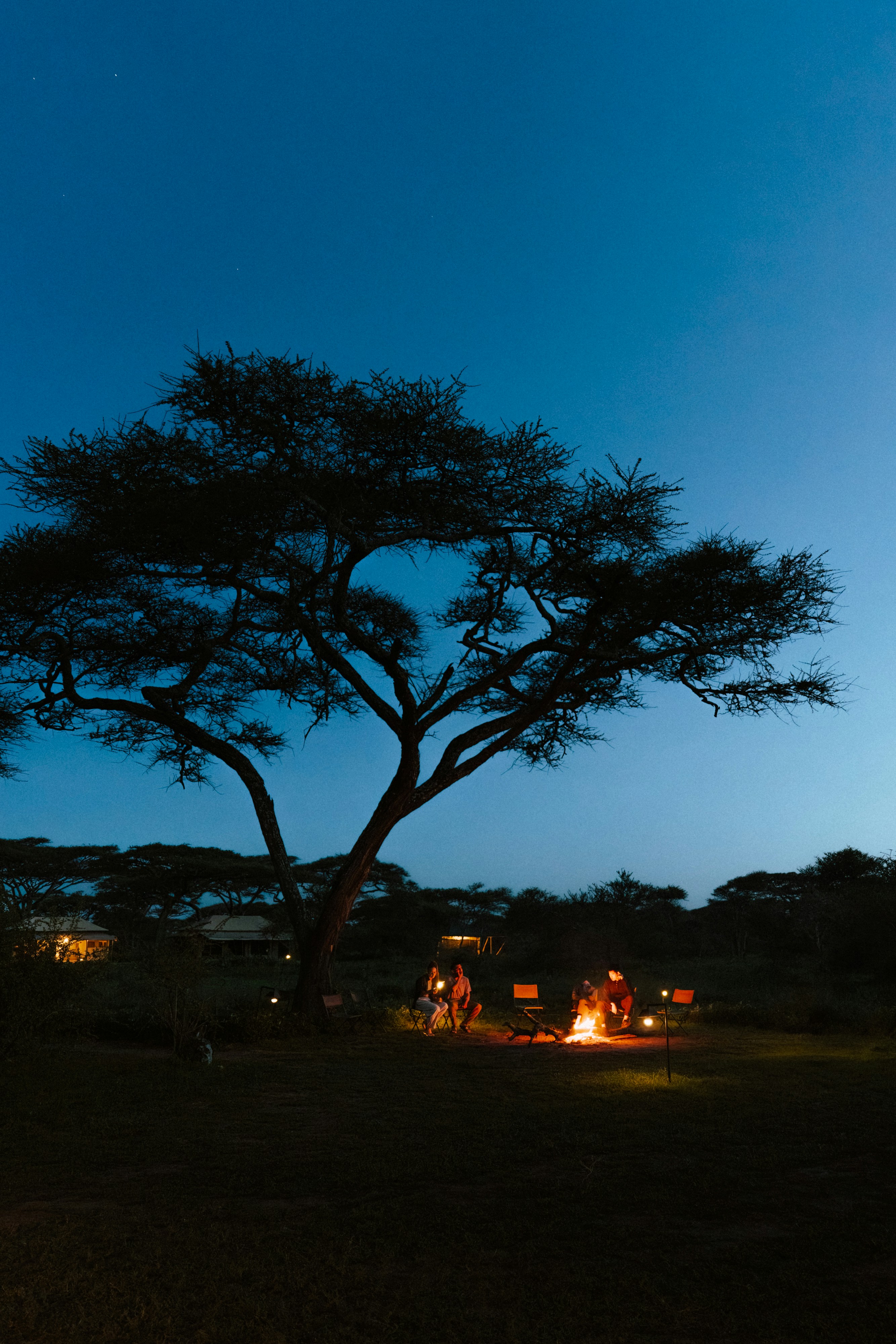 Tanzania vs Botswana vs Namibia: Which Safari?